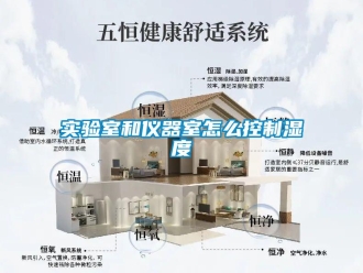 常見(jiàn)問(wèn)題實(shí)驗(yàn)室和儀器室怎么控制濕度