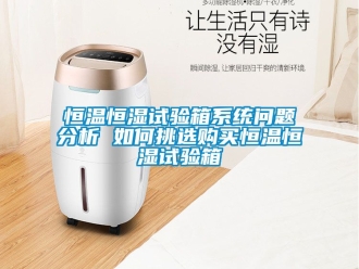 知識百科恒溫恒濕試驗箱系統問題分析 如何挑選購買恒溫恒濕試驗箱
