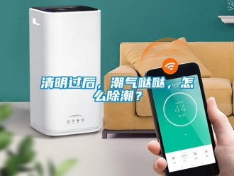 常見問題清明過后，潮氣噠噠，怎么除潮？