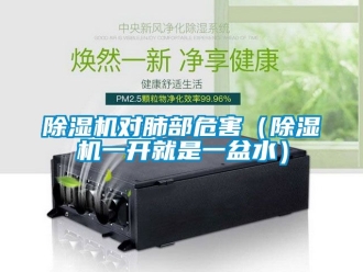 行業(yè)新聞除濕機(jī)對肺部危害（除濕機(jī)一開就是一盆水）