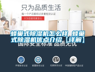 行業新聞蜂巢式除濕機怎么樣 蜂巢式除濕機優點介紹【詳解】