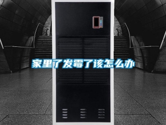 常見問題家里了發霉了該怎么辦