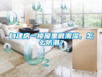 常見問題自建房一樓屋里很潮濕，怎么防潮？