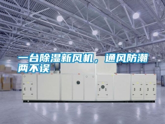 知識百科一臺除濕新風機，通風防潮兩不誤