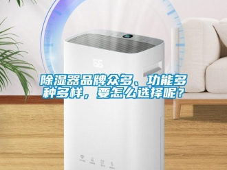 常見問題除濕器品牌眾多、功能多種多樣，要怎么選擇呢？