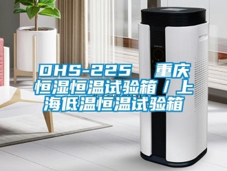 常見問題DHS-225  重慶恒濕恒溫試驗箱／上海低溫恒溫試驗箱