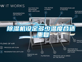 行業(yè)新聞除濕機(jī)設(shè)定多少溫度合適_重復(fù)