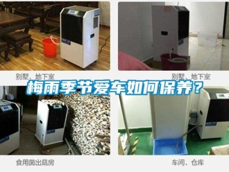 常見問題梅雨季節(jié)愛車如何保養(yǎng)？