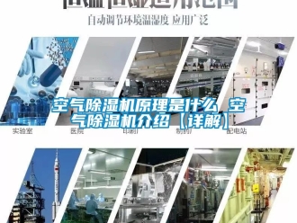 行業新聞空氣除濕機原理是什么 空氣除濕機介紹【詳解】