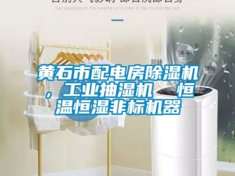 常見(jiàn)問(wèn)題黃石市配電房除濕機(jī)，工業(yè)抽濕機(jī)  恒溫恒濕非標(biāo)機(jī)器