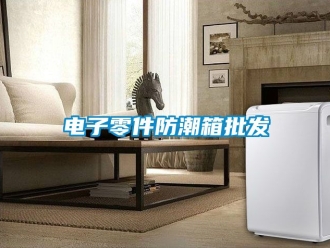 常見問題電子零件防潮箱批發
