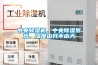 中央除濕機(jī)，中央除濕系統(tǒng)，濕度由我不由天