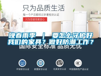 常見問題晚春雨季 ｜ 要怎么守護好我們的家具？做好防潮工作？