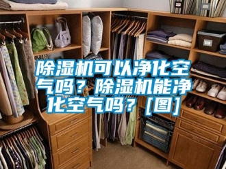行業新聞除濕機可以凈化空氣嗎？除濕機能凈化空氣嗎？[圖]