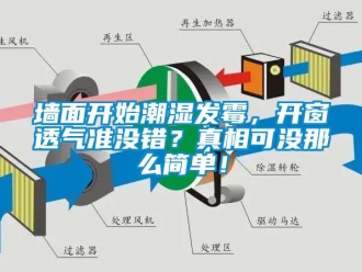 行業(yè)新聞墻面開始潮濕發(fā)霉，開窗透氣準沒錯？真相可沒那么簡單！