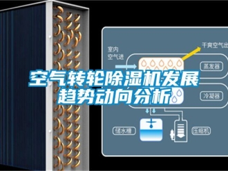 常見問題空氣轉(zhuǎn)輪除濕機(jī)發(fā)展趨勢(shì)動(dòng)向分析