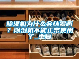 行業新聞除濕機為什么會結霜啊？除濕機不能正常使用了_重復