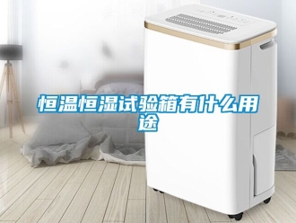 知識百科恒溫恒濕試驗箱有什么用途