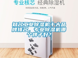 常見問題知名工業除濕機十大品牌排名，專業除濕機哪個牌子好？