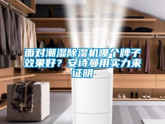 行業(yè)新聞面對潮濕除濕機(jī)哪個牌子效果好？安詩曼用實(shí)力來證明