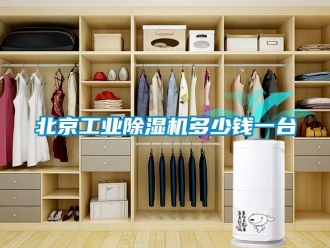 常見問題北京工業除濕機多少錢一臺