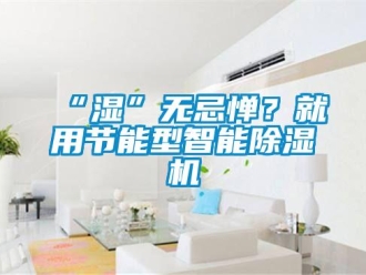 常見問題“濕”無忌憚？就用節能型智能除濕機