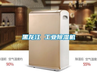 常見(jiàn)問(wèn)題黑龍江 工業(yè)除濕機(jī)