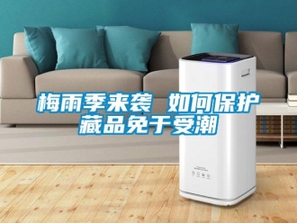 常見(jiàn)問(wèn)題梅雨季來(lái)襲 如何保護(hù)藏品免于受潮
