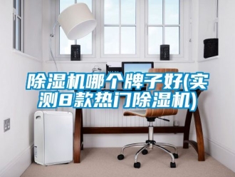 行業(yè)新聞除濕機(jī)哪個(gè)牌子好(實(shí)測(cè)8款熱門(mén)除濕機(jī))