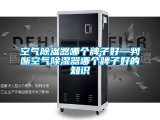 行業新聞空氣除濕器哪個牌子好—判斷空氣除濕器哪個牌子好的知識