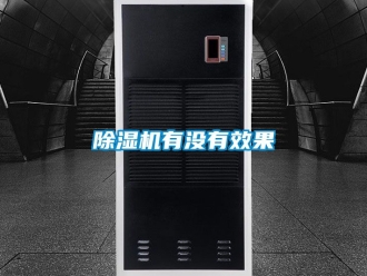 行業(yè)新聞除濕機(jī)有沒(méi)有效果