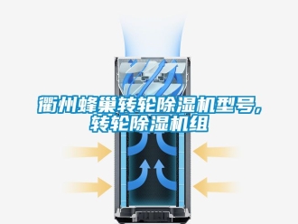 常見問題衢州蜂巢轉(zhuǎn)輪除濕機(jī)型號(hào),轉(zhuǎn)輪除濕機(jī)組