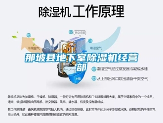 行業(yè)新聞那坡縣地下室除濕機經(jīng)營部