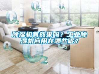 常見問(wèn)題除濕機(jī)有效果嗎？工業(yè)除濕機(jī)應(yīng)用在哪些呢？