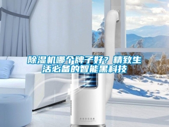 常見問題除濕機哪個牌子好？精致生活必備的智能黑科技
