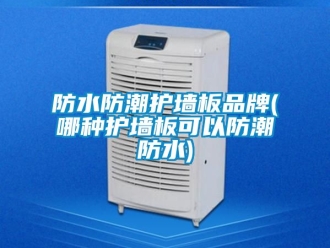常見問題防水防潮護(hù)墻板品牌(哪種護(hù)墻板可以防潮防水)