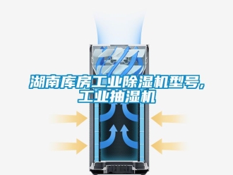 常見問題湖南庫房工業除濕機型號,工業抽濕機