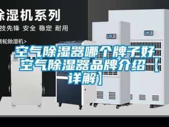 行業新聞空氣除濕器哪個牌子好 空氣除濕器品牌介紹【詳解】