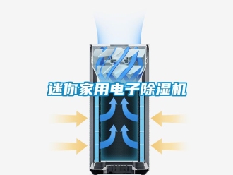行業(yè)新聞迷你家用電子除濕機(jī)