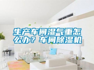 常見問題生產車間濕氣重怎么辦？車間除濕機