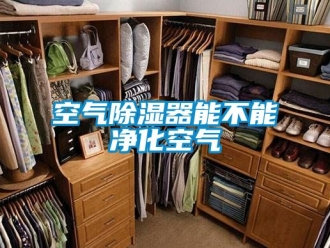 行業新聞空氣除濕器能不能凈化空氣