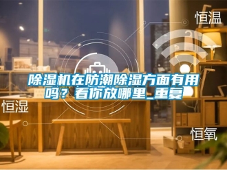行業新聞除濕機在防潮除濕方面有用嗎？看你放哪里_重復