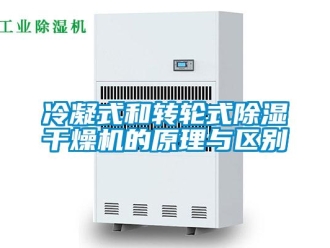 行業(yè)新聞冷凝式和轉輪式除濕干燥機的原理與區(qū)別