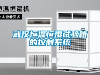 知識百科武漢恒溫恒濕試驗箱的控制系統(tǒng)
