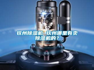 行業新聞欽州除濕機 欽州哪里有賣除濕機的？