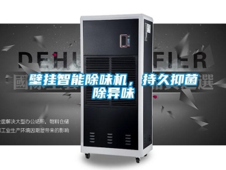 常見問題壁掛智能除味機，持久抑菌除異味