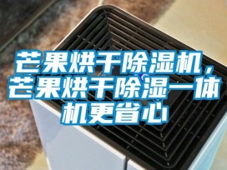 行業新聞芒果烘干除濕機，芒果烘干除濕一體機更省心
