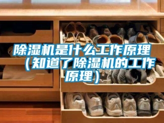 行業(yè)新聞除濕機是什么工作原理（知道了除濕機的工作原理）
