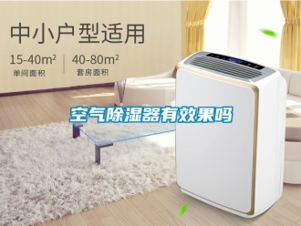 行業新聞空氣除濕器有效果嗎