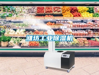 常見問題濰坊工業(yè)除濕機(jī)